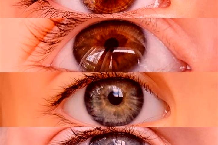 Zoe, 24, a chestnut grey-eyed middle eastern companion based in Alacranes. Offering CIM, Couples, Massage. Available for incall and outcall, day and evening ...
