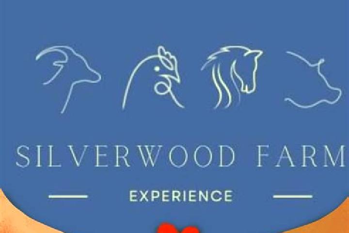 Zoe, 24 — Escort in Silverwood, Canada