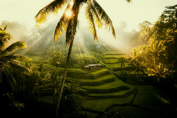 Zoe, 25 — Escort in Ubud, Indonesia