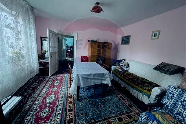 Zoe, 26 — Escort in Pancesti, Romania