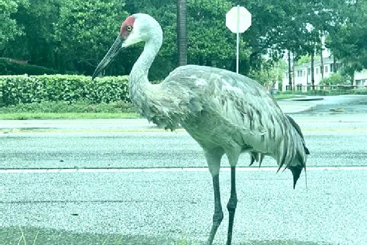 Zoe, 26 — Escort in Silver Springs, United States