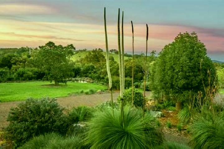 Zoe, 26 — Escort in Windsor Gardens, Australia