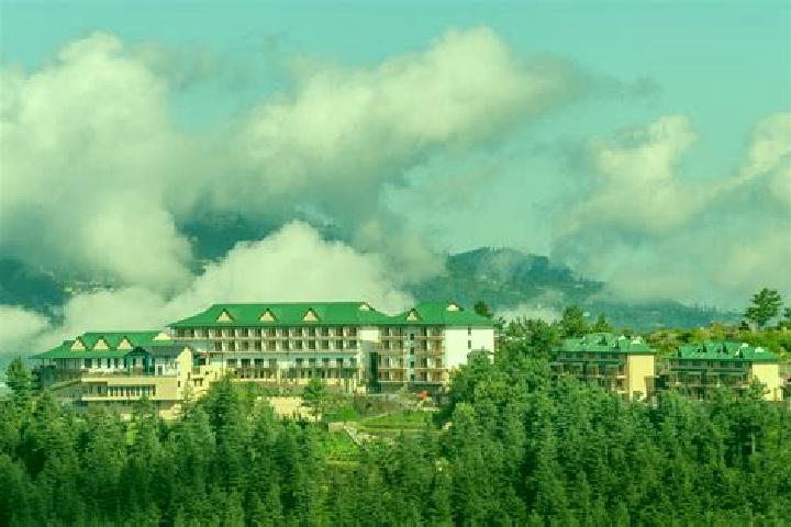 Zoe, 27, a platinum blonde brown-eyed ebony companion based in San Morales. Offering Domination, Deep French Kissing, Prostate Massage, Travel Companion. Ava...