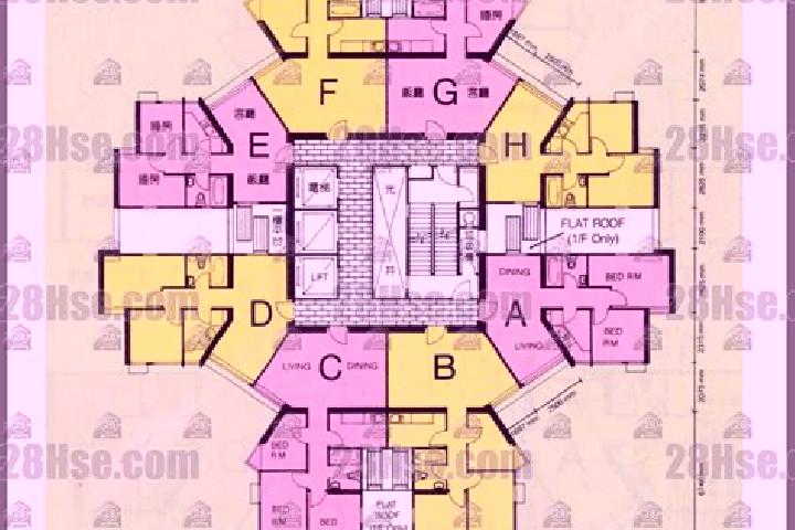 Zoe, 27 — Escort in Kornhill Garden, Hong Kong