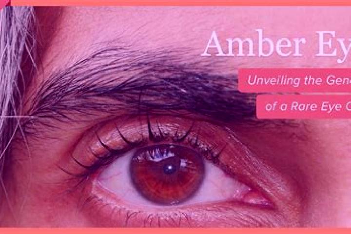 Zoe, 29, a red amber-eyed mediterranean companion based in Lokassou. Offering Roleplay, GFE, Duos. Available for incall and outcall, overnight bookings avail...