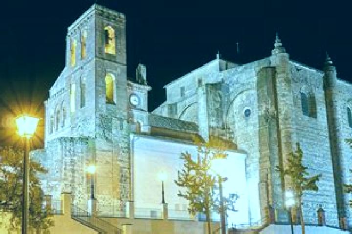 Zoe, 29 — Escort in Cazalla de la Sierra, Spain