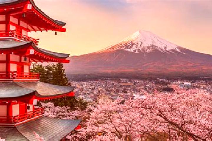 Zoe, 29 — Escort in Fujiyoshida, Japan