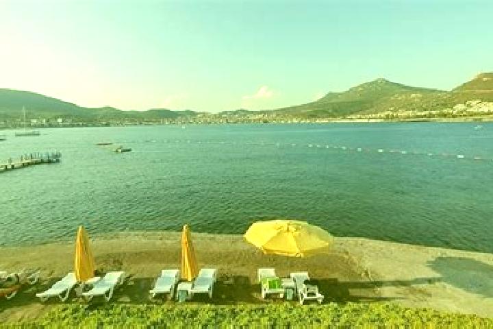 Zoe, 31 — Escort in Burunucu, Turkey