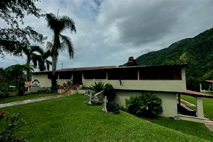 Zoe, 31 — Escort in Jayuya, Puerto Rico