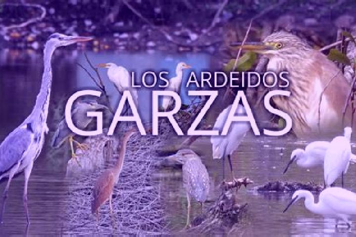Zoe, 31 — Escort in San Pedro y las Garzas, Mexico