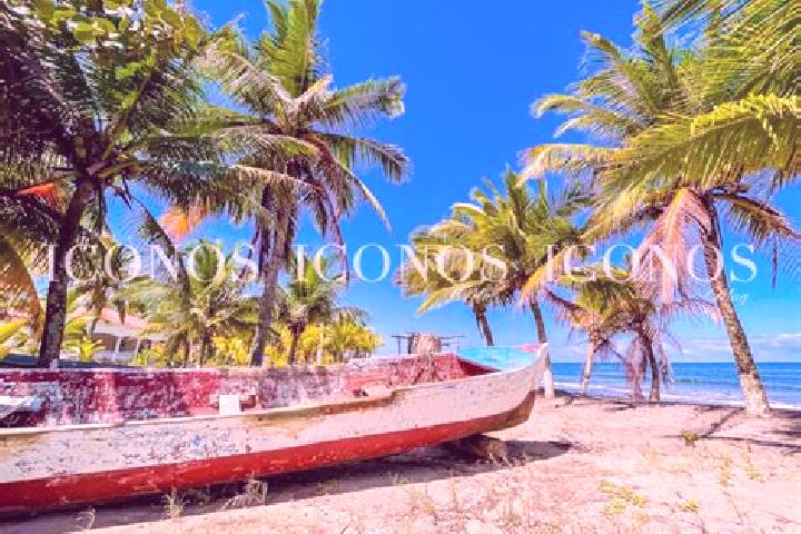 Zoe, 31 — Escort in Travesia, Honduras