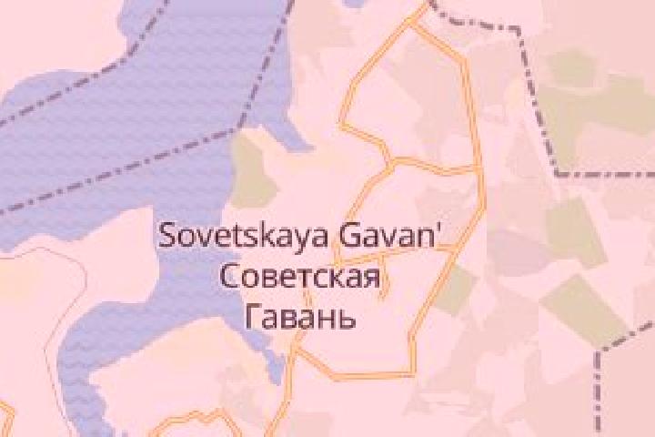 Zoe, 32 — Escort in Sovetskaya Gavan , Russia