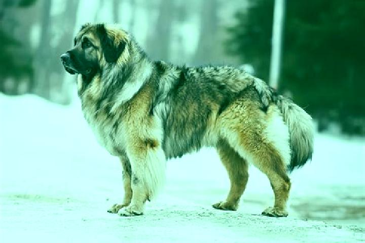 Zoe, 34, a black grey-eyed caucasian companion based in Tsvetochnoye. Offering BDSM, A-Level, Overnight, Striptease. Available for incall and outcall, overni...