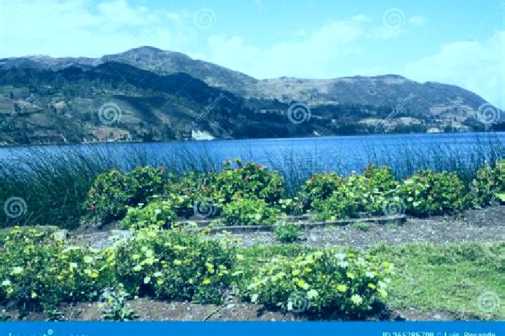 Zoe, 34 — Escort in Abancay, Peru