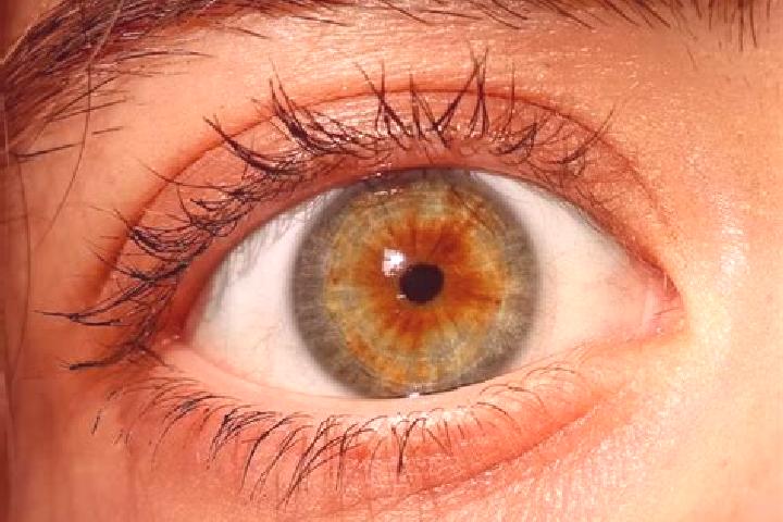 Zoe, 35, a red hazel-eyed caucasian companion based in Riegelsberg. Offering Massage, Travel Companion, A-Level. Available for incall and outcall, day and ev...