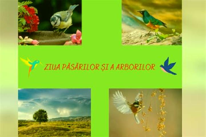 Zoe, 35 — Escort in Larga-Jijia, Romania