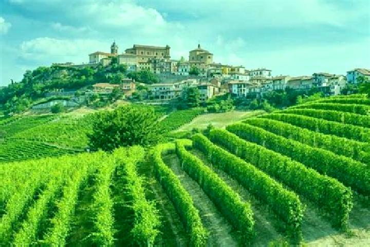 Zoe, 36 — Escort in Frassinello Monferrato, Italy