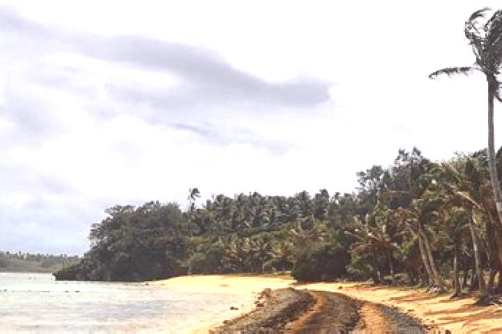 Zoe, 36 — Escort in Hofoa, Tonga