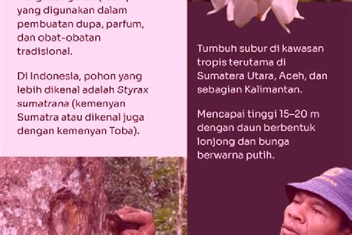 Zoe, 37 — Escort in Banjar Trunyan, Indonesia