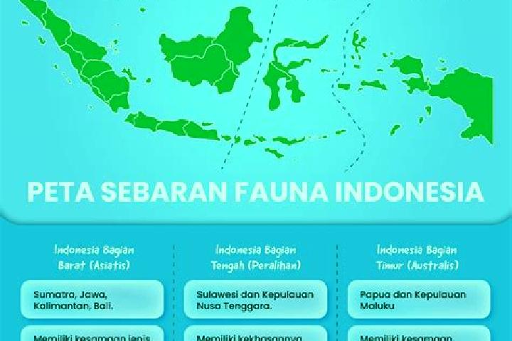 Zoe, 37 — Escort in Kebon Tengah, Indonesia