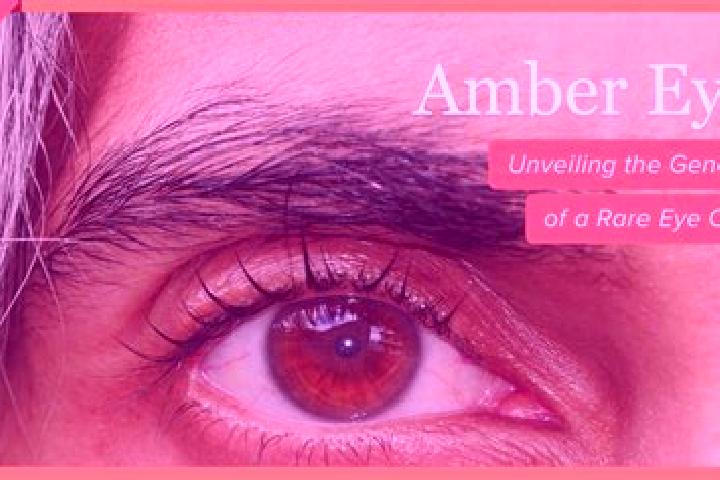 Zoe, 38, a black amber-eyed mediterranean companion based in Anneyron. Offering BDSM, Massage, Couples, Party Girl. Available for incall and outcall, overnig...