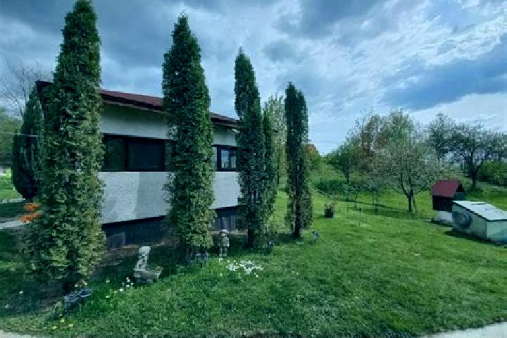 Zoe, 38 — Escort in Certeju de Sus, Romania