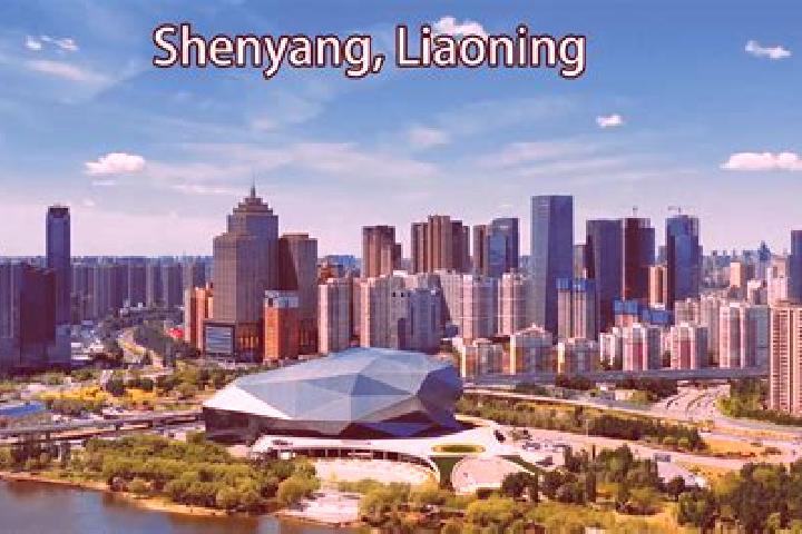 Zoe, 38 — Escort in Huanggu, China