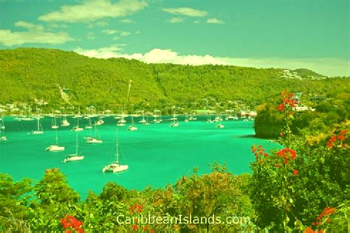 Zoe, 38 — Escort in Port Elizabeth, Saint Vincent and the Grenadines