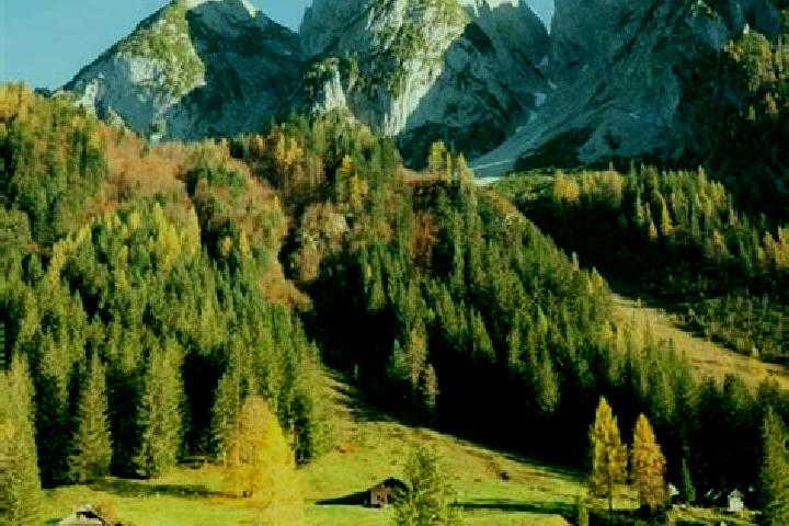 Zoe, 38 — Escort in Simmering, Austria