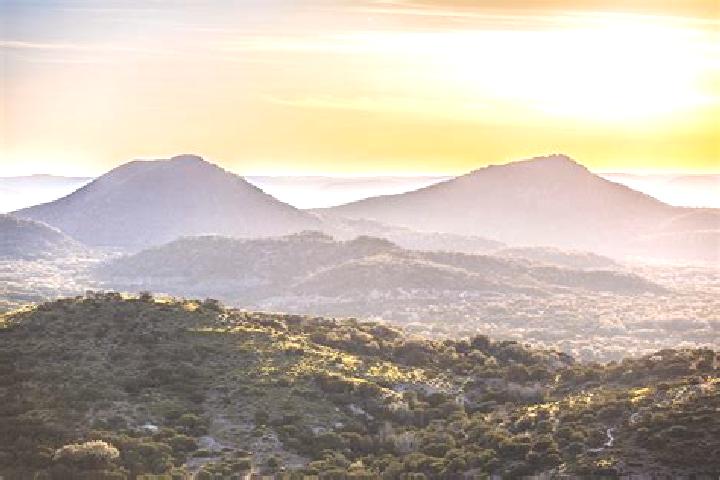 Zoe, 38 — Escort in The Hill, Australia
