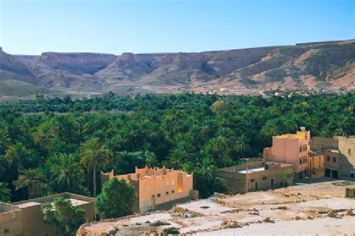 Zoe, 38 — Escort in Zagora, Morocco