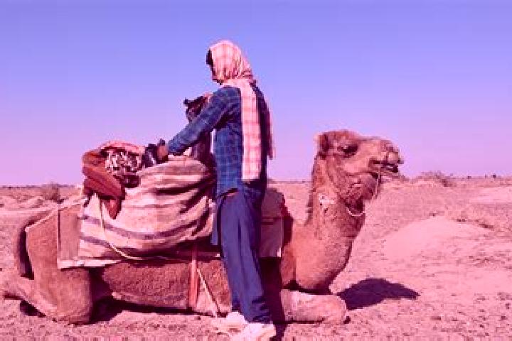 Zoe, 39 — Escort in Dasht-e Archi, Afghanistan