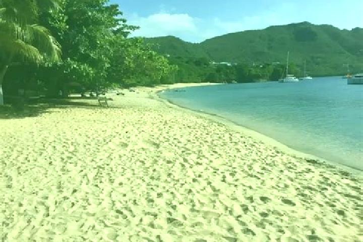 Zoe, 39 — Escort in Petit Bordel, Saint Vincent and the Grenadines