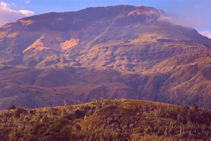 Zoe, 39 — Escort in Tsaratanana, Madagascar