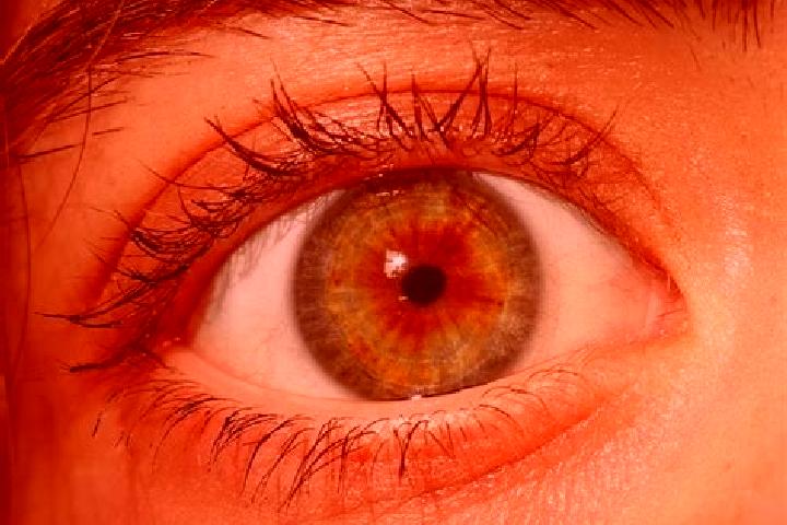 Zoey, 20, a red hazel-eyed european companion based in La Charca. Offering Tantra, Overnight, Dinner Date. Available for incall and outcall, overnight bookin...