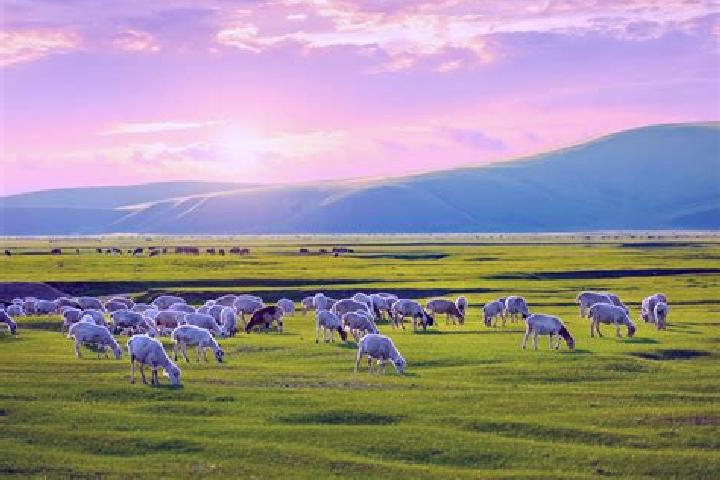 Zoey, 20 — Escort in Dzoolon, Mongolia