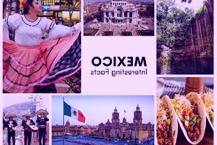 Zoey, 20 — Escort in Ipalapa, Mexico