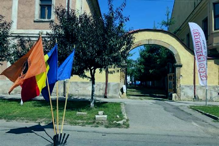 Zoey, 20 — Escort in Pribilesti, Romania
