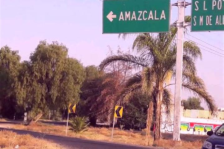 Zoey, 20 — Escort in San Miguel Amazcala, Mexico