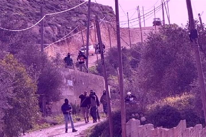 Zoey, 20 — Escort in Talfit, Palestine