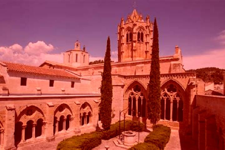 Zoey, 20 — Escort in Vallbona de les Monges, Spain