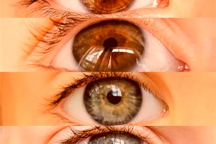Zoey, 21, a chestnut hazel-eyed mediterranean companion based in Sao Bento do Tocantins. Offering Tantra, Fetish, Striptease. Available for incall and outcal...