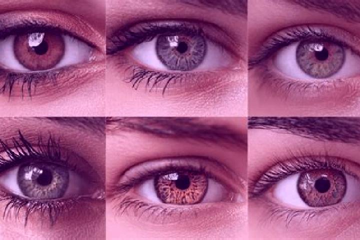 Zoey, 21, a red hazel-eyed indian companion based in Lans. Offering Domination, Duos, A-Level, Massage. Available for incall and outcall, day and evening dates.