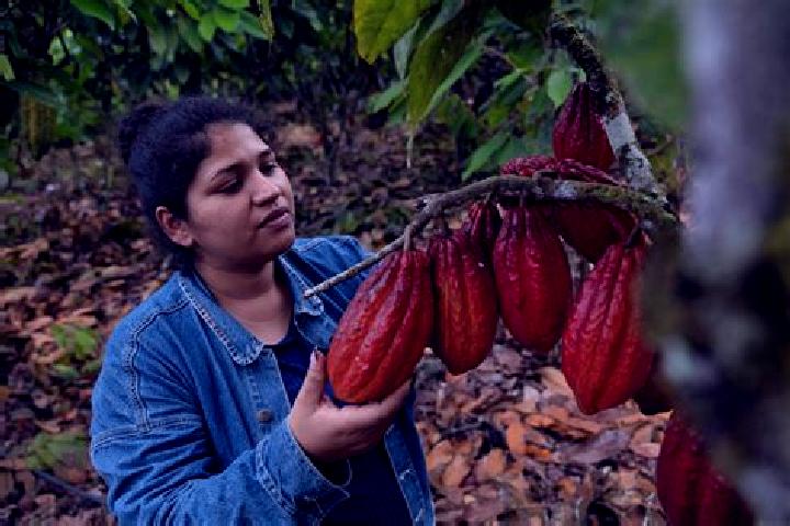 Zoey, 21 — Escort in Flor de Cacao, Mexico