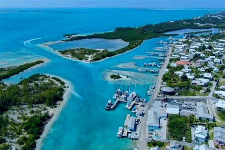 Zoey, 21 — Escort in Spanish Wells, Bahamas