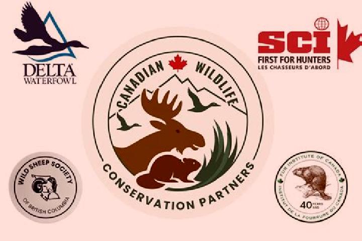 Zoey, 23 — Escort in Conservation, Canada