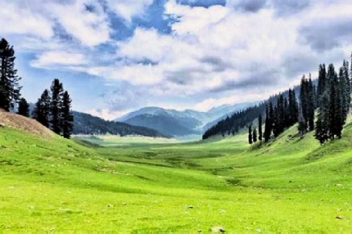 Zoey, 23 — Escort in Kupwara, India
