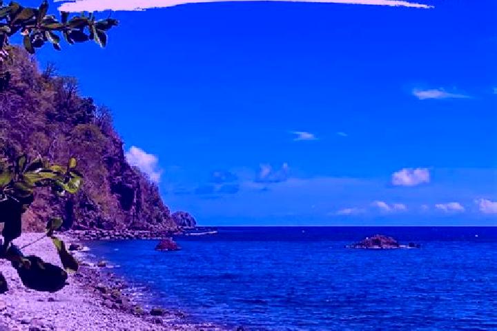 Zoey, 23 — Escort in Pointe Michel, Dominica