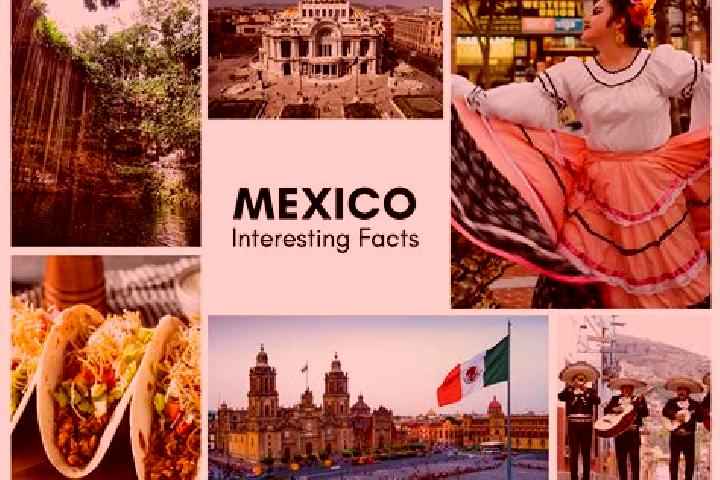 Zoey, 23 — Escort in Rosario Ixtal, Mexico