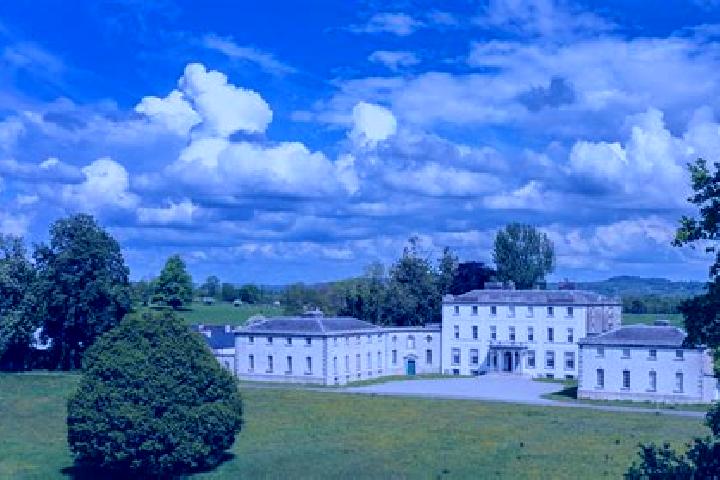 Zoey, 23 — Escort in Strokestown, Ireland